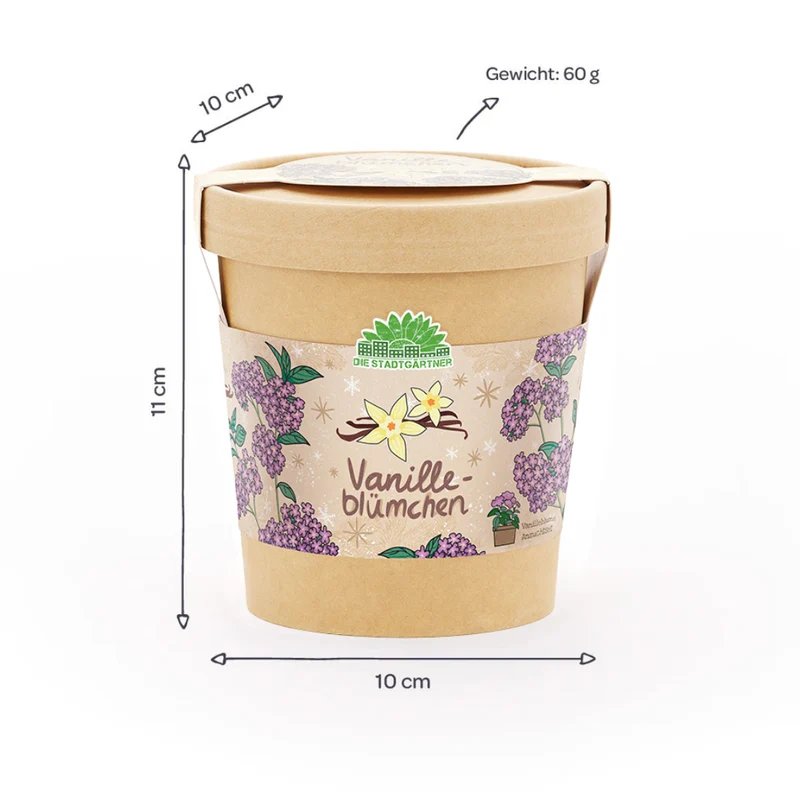 Vanilleblume aus dem Becher