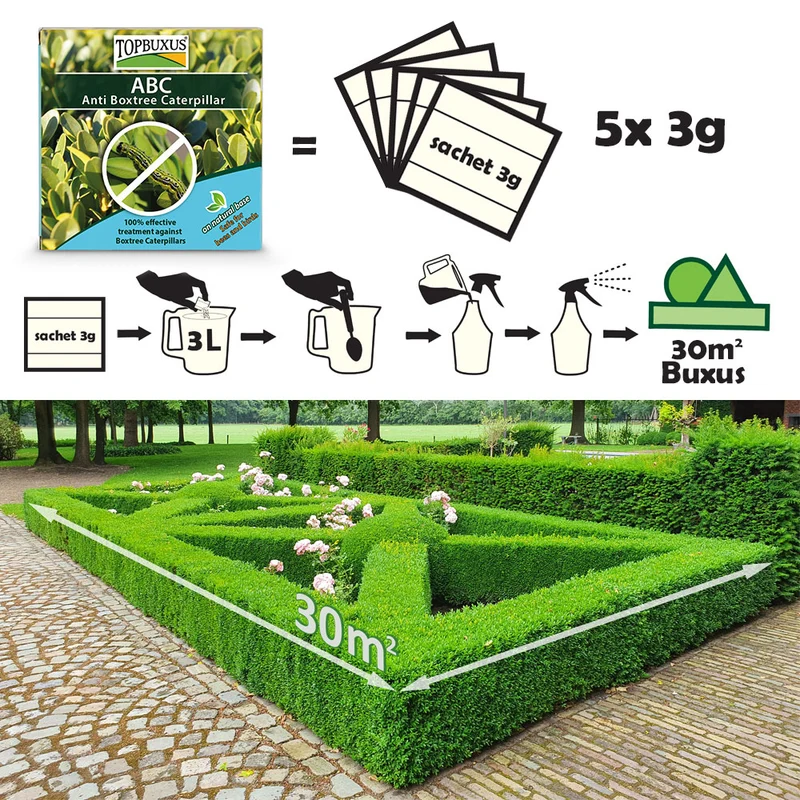 TOPBUXUS Anti-Boxtree Caterpillar – 5 x 3 g für 150 m² Buchsbaum (entspricht XenTari)