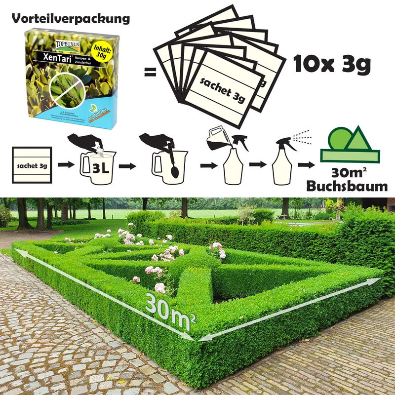TOPBUXUS gegen den Buchsbaumzünsler – 10 x 3 g reichen für bis zu 600 m² Buchsbaum