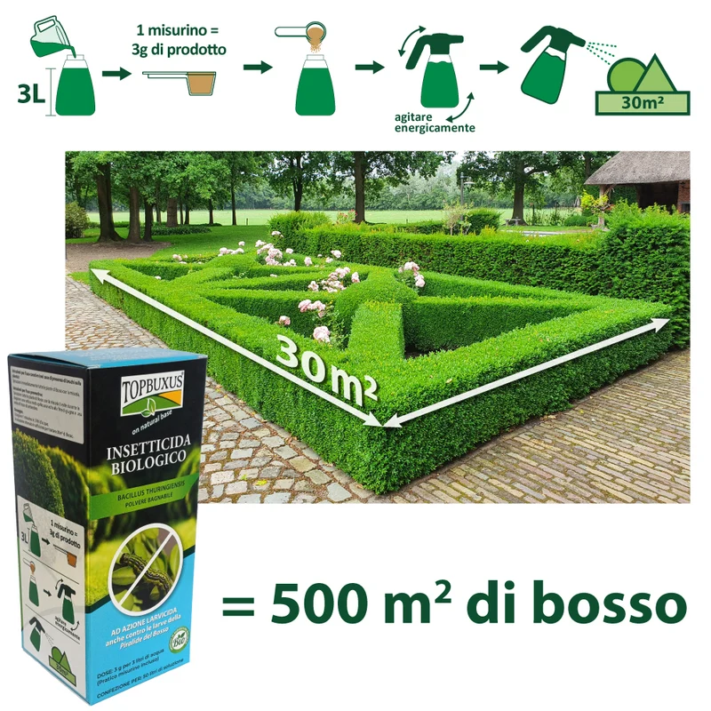 TOPBUXUS Insetticida Biologico - Trattamento Contro Piralide del Bosso