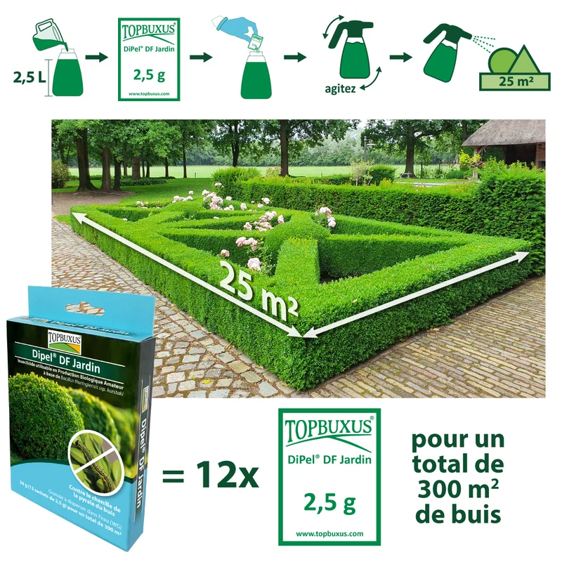 TOPBUXUS Dipel DF Jardin – Behandlung gegen den Buchsbaumzünsler – 12 × 2,5 g für insgesamt 300 m² Buchsbaum