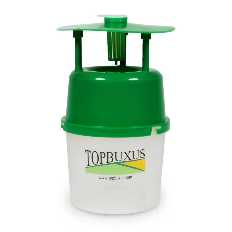TOPBUXUS Buchsbaumzünsler-Falle - Inkl. Lockstoffe für 1 ganze Saison