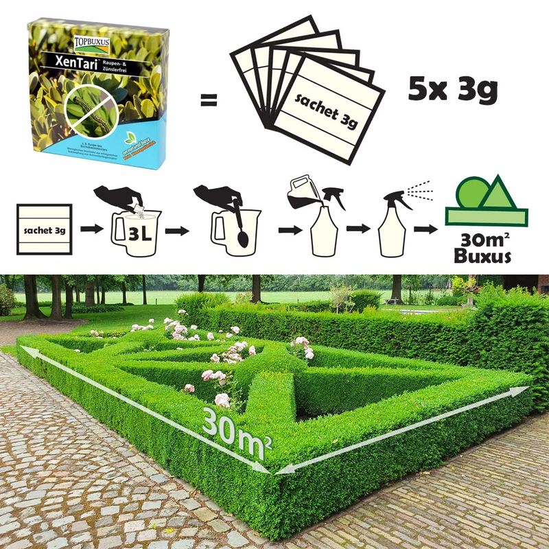 TOPBUXUS XenTari® gegen Raupe des Buchsbaumzünslers - 5x3g für 150m2 Buchsbaum