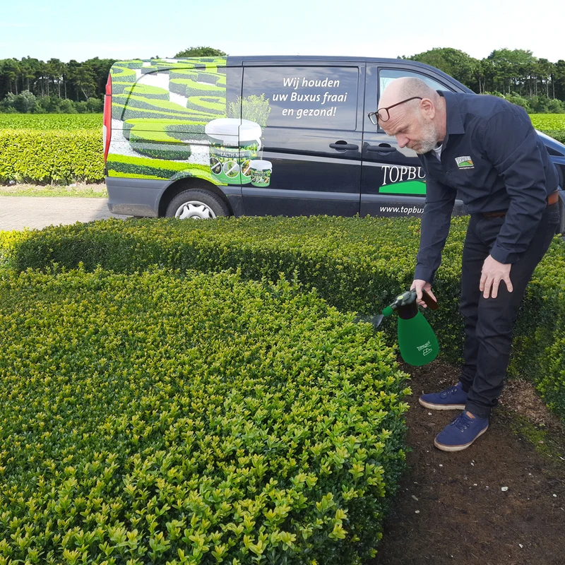 TOPBUXUS Elektrisches Spritzgerät 2L - Wiederaufladbar