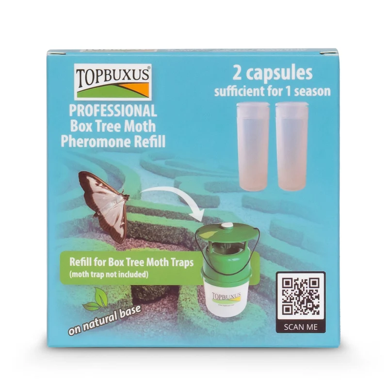 TOPBUXUS Pheromon-Nachfüllpackung für Buchsbaumzünsler-Falle