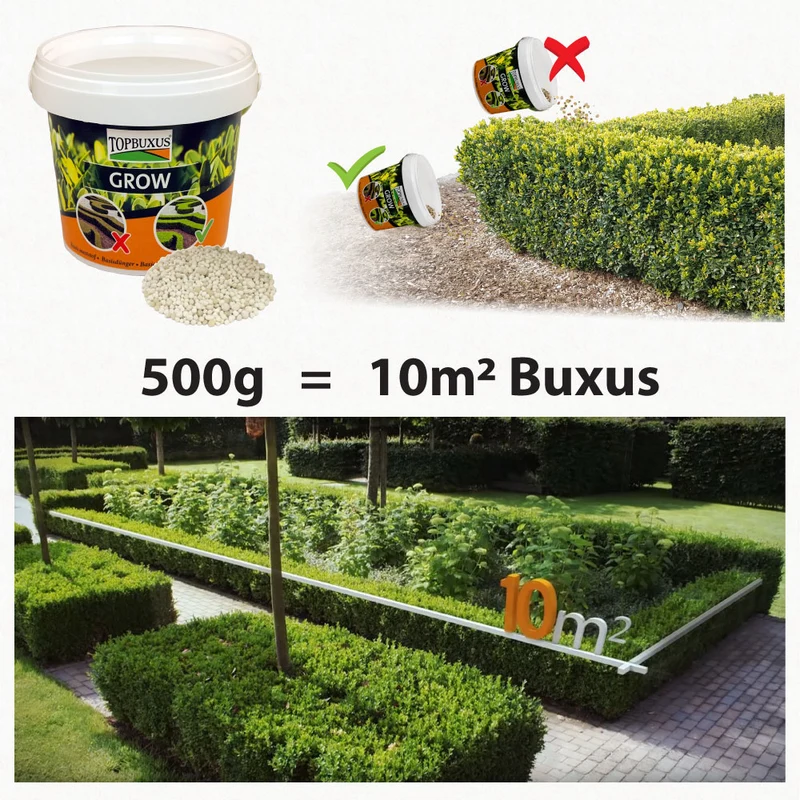 TOPBUXUS GROW - Schnell wirkender Dünger für Buchsbaum