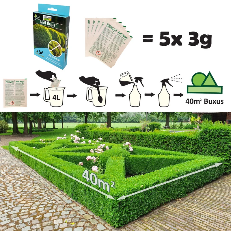 TOPBUXUS Anti Rups® - gegen Raupe des Buchsbaumzünslers - 5x3g für 200m2 Buchs