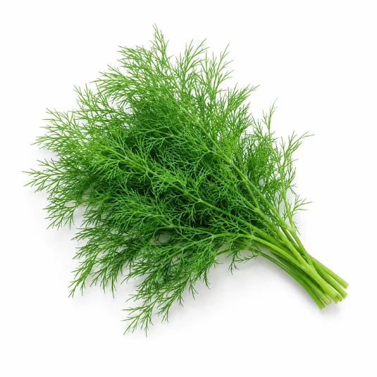 Dill