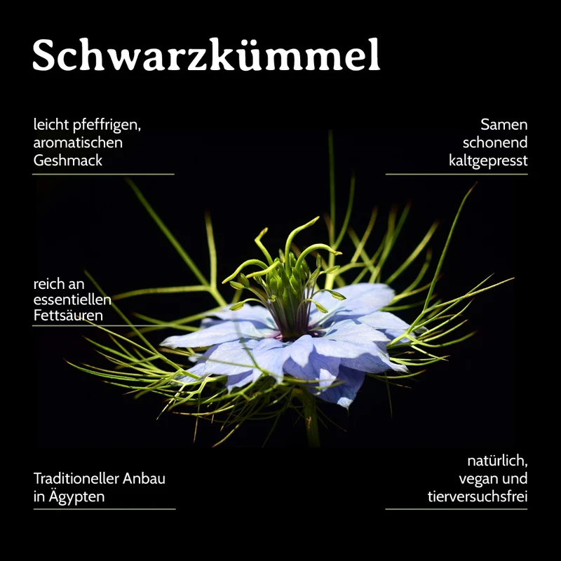 Schwarzkümmelöl 1l Nigella sativa aus Ägypten Schwarzkümmelöl konventionell - Kaltgepresst