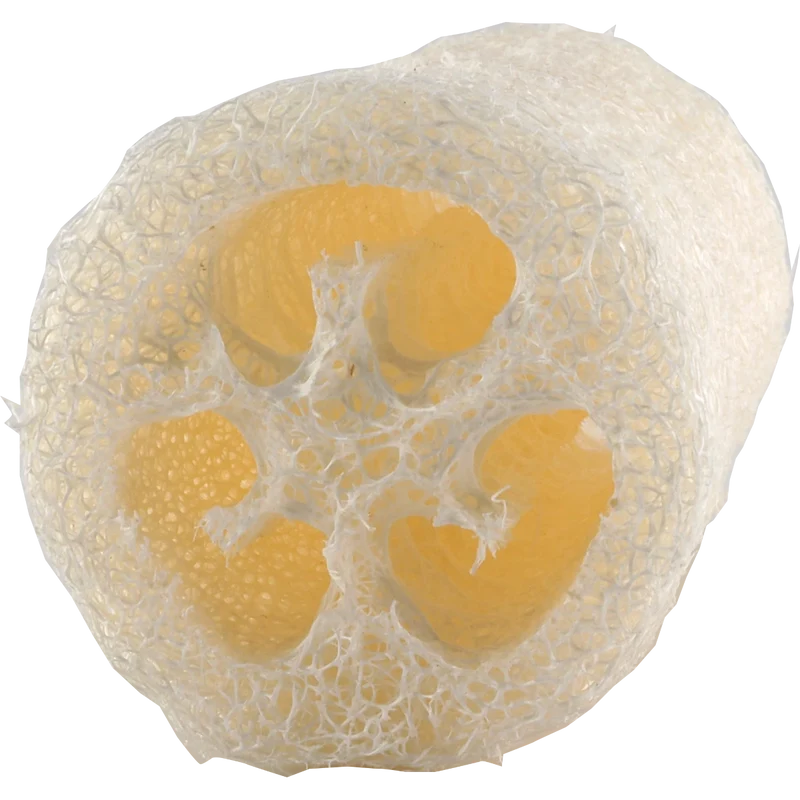 Luffa Gurkenschwamm Natur 10 cm – Für Bad & Küche – 100% biologisch abbaubar, plastikfrei & unverpackt
