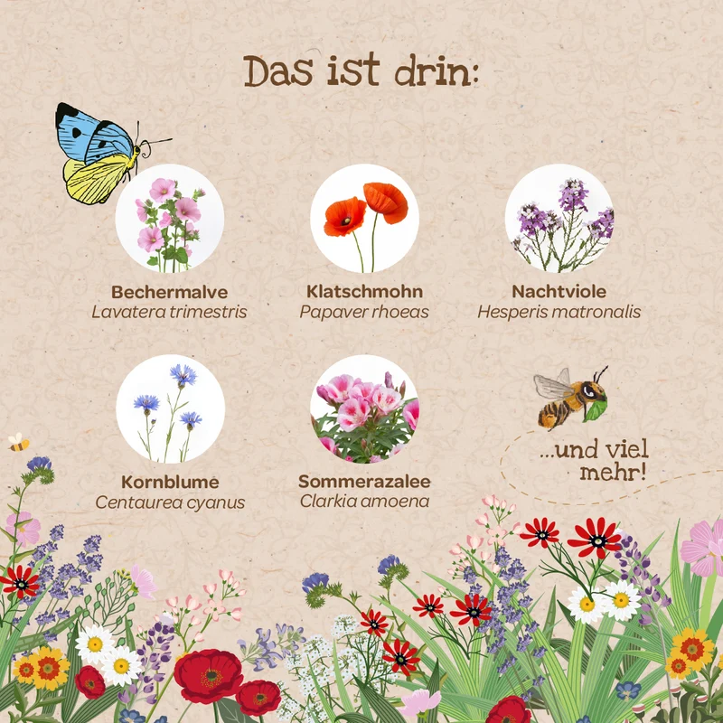 Bienenwohl - Blütenteppich