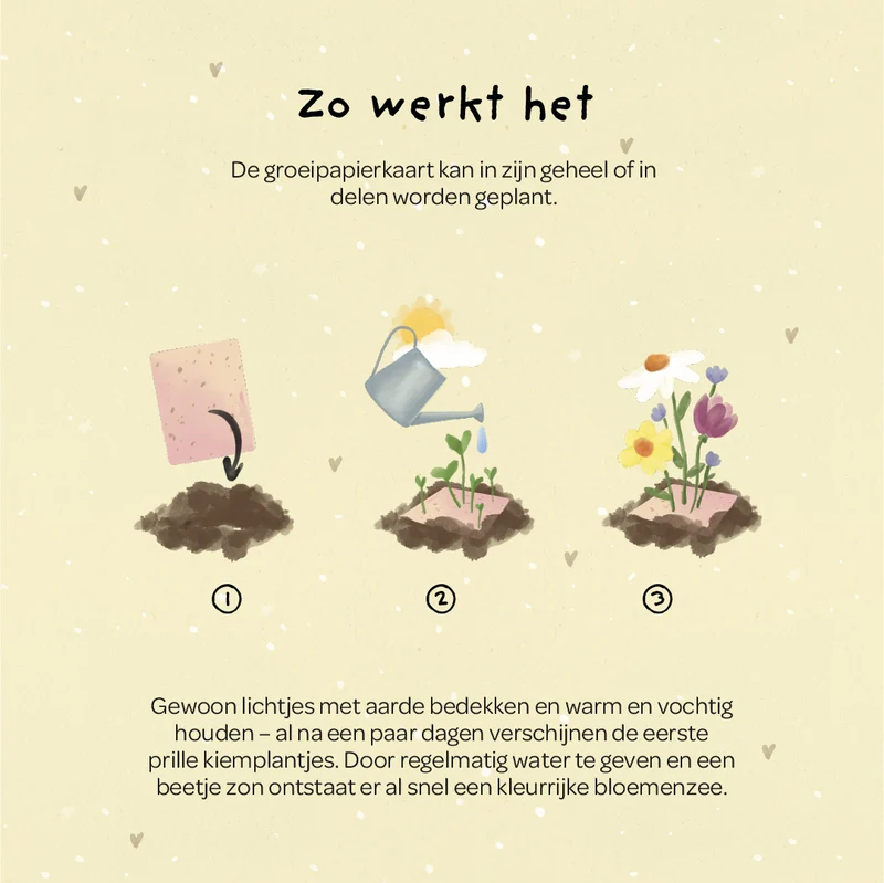 Wenskaart - Hallo zonnestraaltje