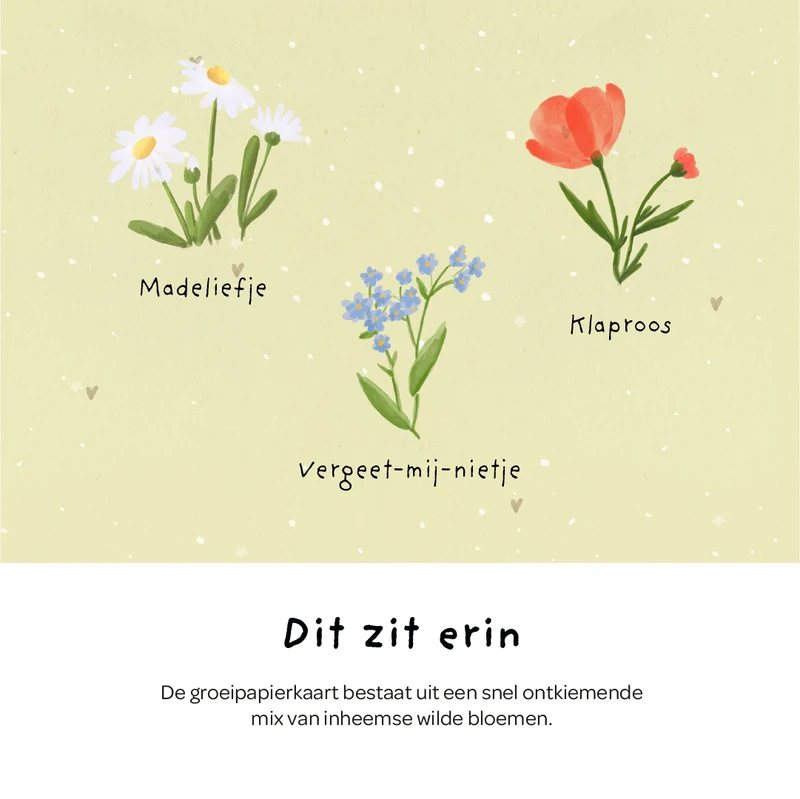 Wenskaart - Hoera, je bent er!