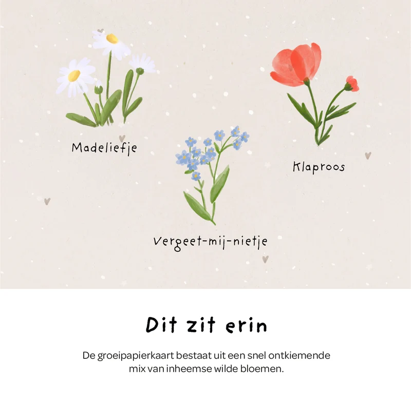 Wenskaart – Voor de jarige