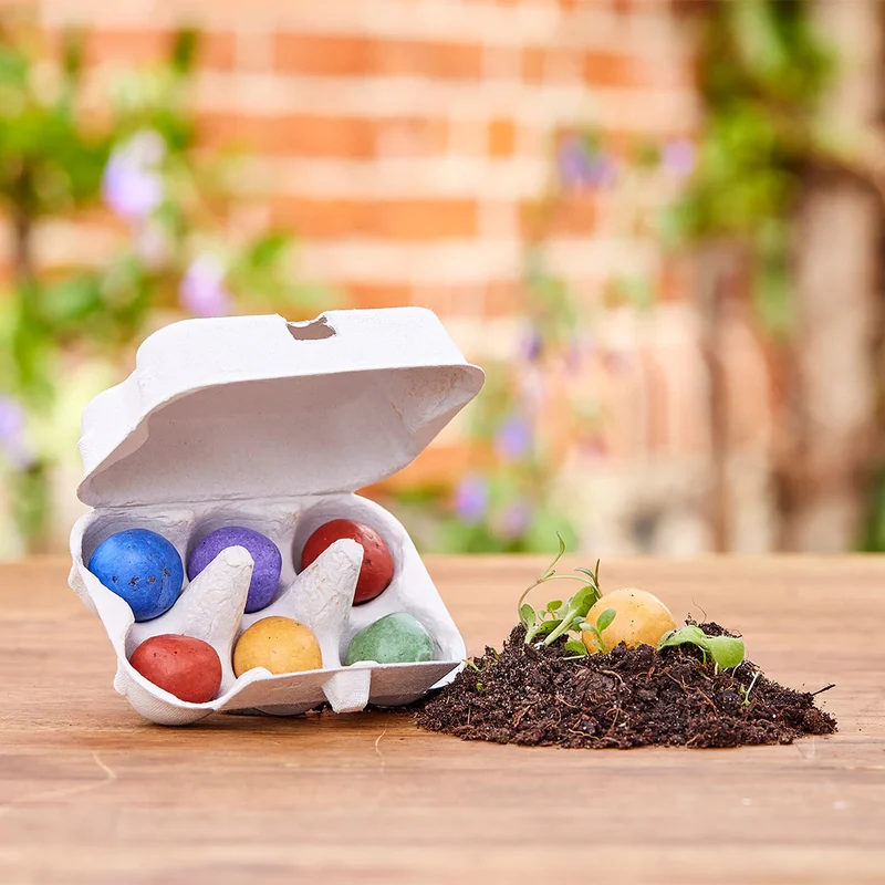6 bunte Blumenmurmeln im Eierkarton - Waldfreunde