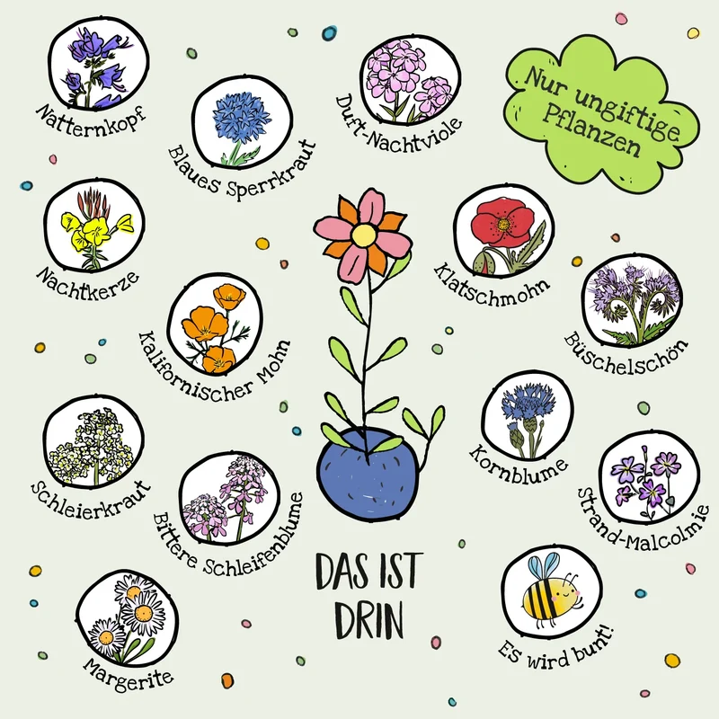 6 bunte Blumenmurmeln im Eierkarton - Blumenschatz