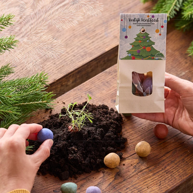 Winterbloemen "Vrolijk Kerstfeest" – Kleurrijke bloemenknikkers