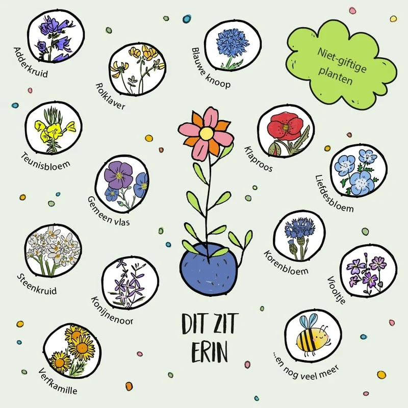 Winterbloemen "Vrolijk Kerstfeest" – Kleurrijke bloemenknikkers