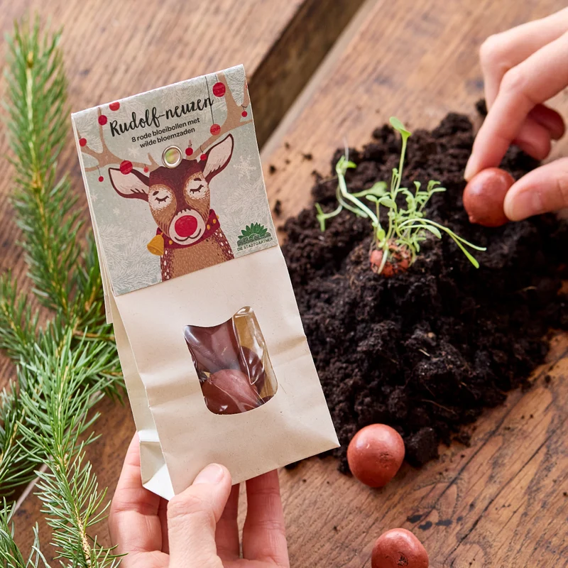 Rudolphneuzen – Bloemenknikkers | Rode zaadballetjes