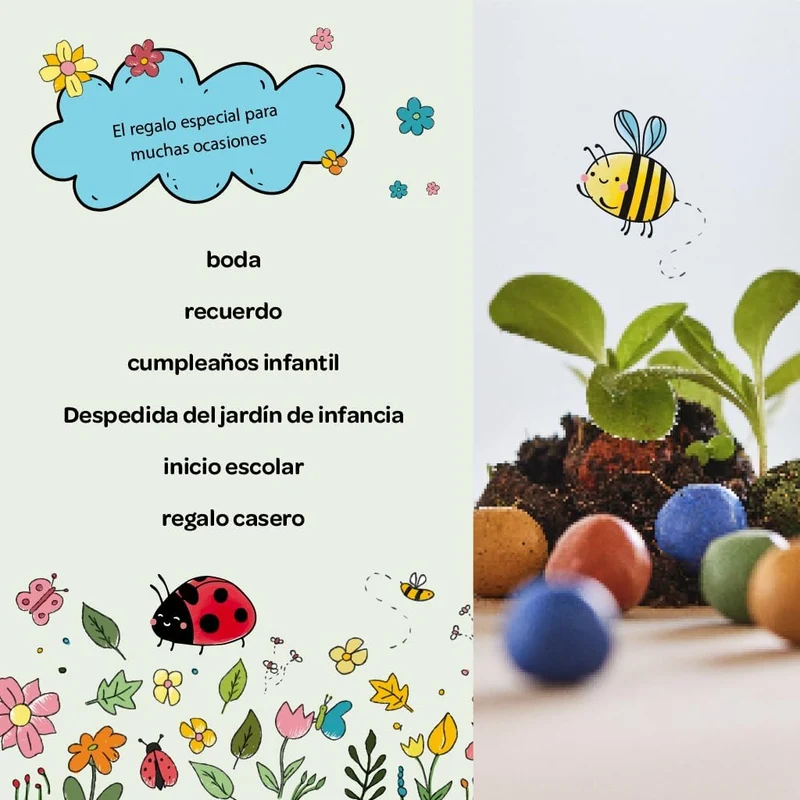 Canicas de flores - Paquete de 25 bolas de colores con semillas