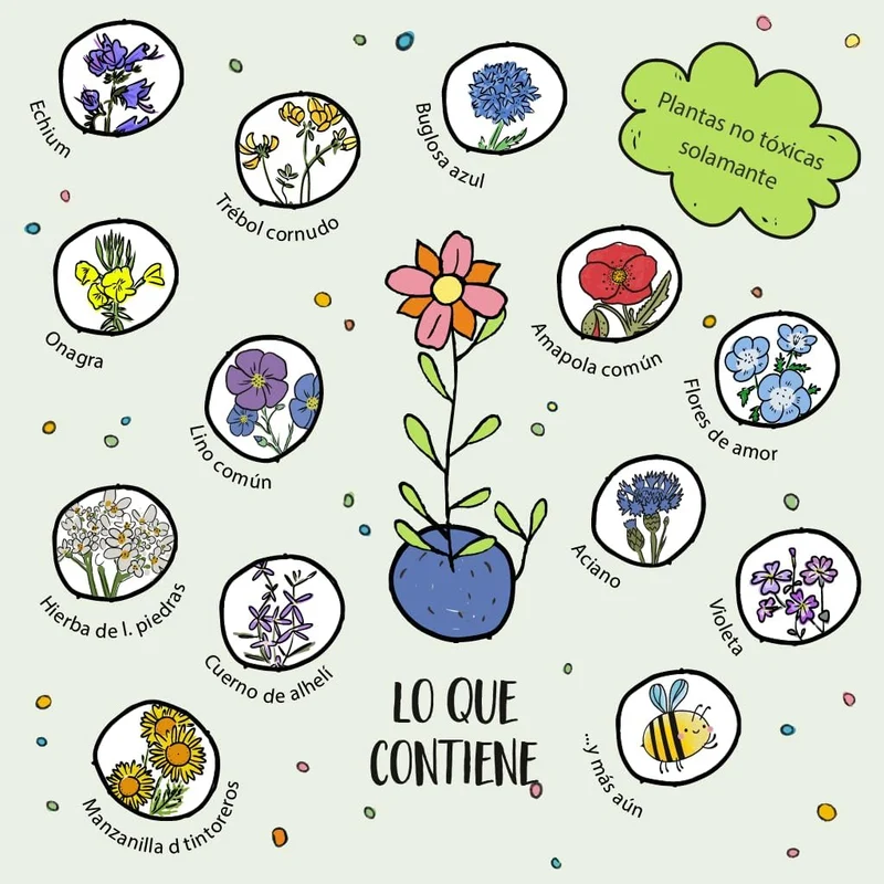 Canicas de flores - Paquete de 25 bolas de colores con semillas