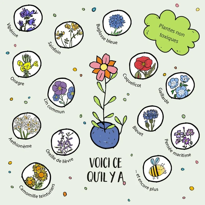 Les billes de fleurs - 25 bombes à graines colorées faites main