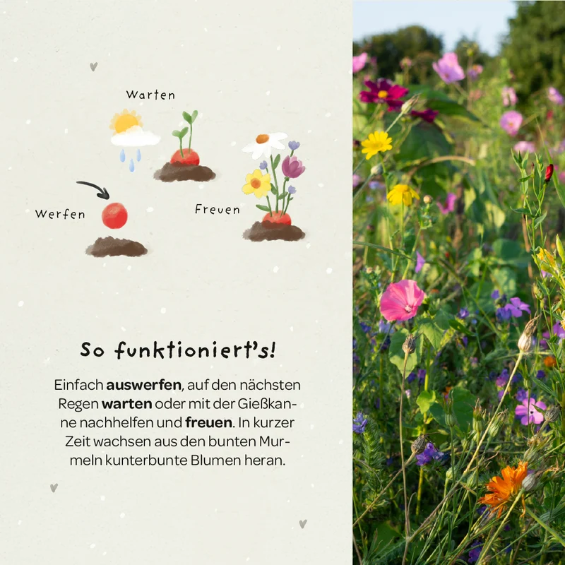5 Blumenmurmeln im Tütchen zur Einschulung "Du bist 1. Klasse"