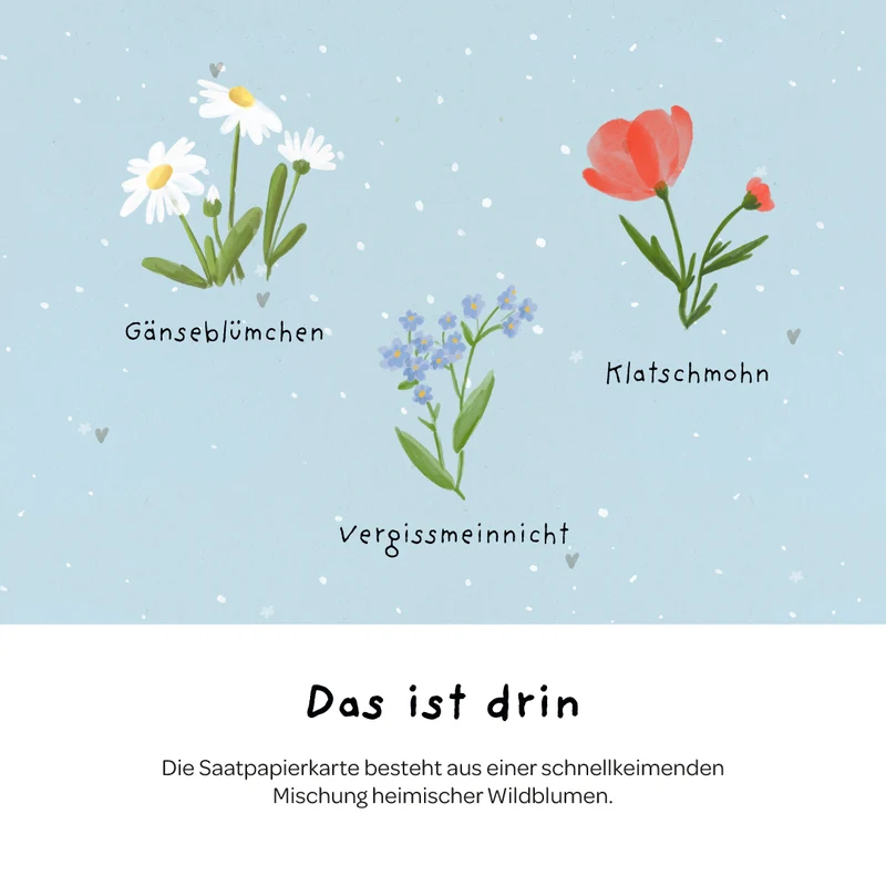 Grußkarte - Du bist nie zu klein, um großartig zu sein