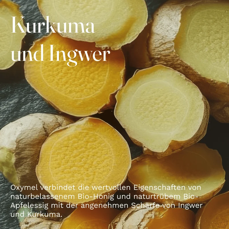 Bio Oxymel Kurkuma und Ingwer 100 ml Getränkezusatz mit Honig & Apfelessig Sauerhonig