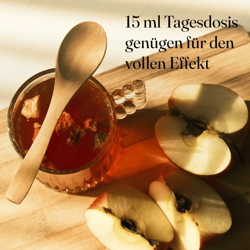 Bio Oxymel Kurkuma und Ingwer 100 ml Getränkezusatz mit Honig & Apfelessig Sauerhonig
