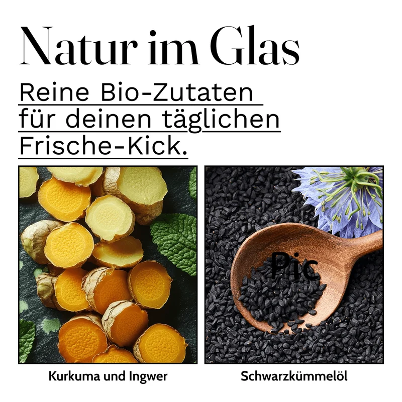 Bio Oxymel Kurkuma und Ingwer 100 ml Getränkezusatz mit Honig & Apfelessig Sauerhonig