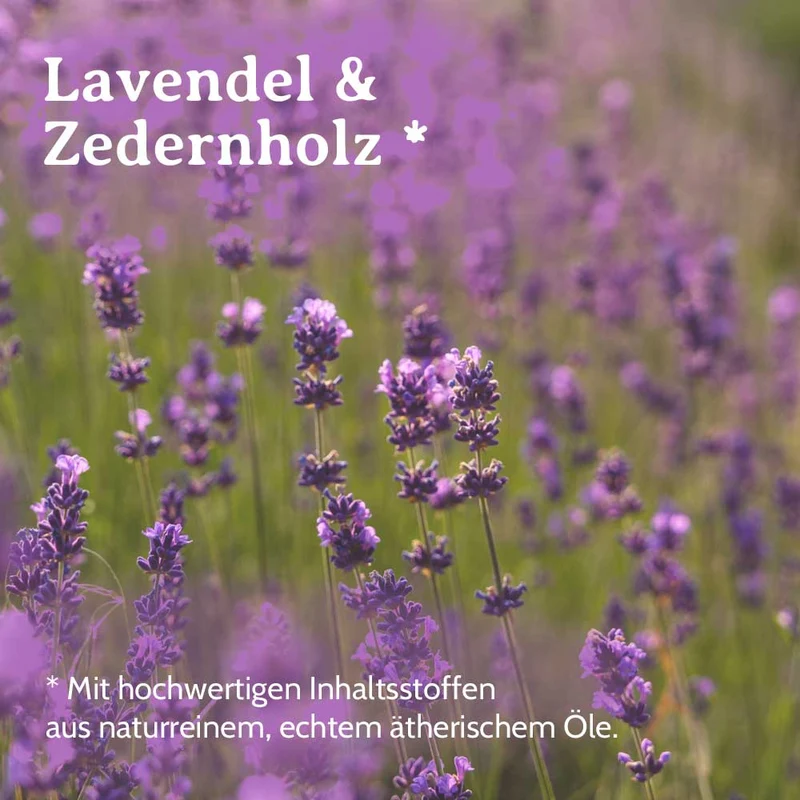 Lavendel Spray Raumduft Raumspray Lavendelspray Duftspray Lavendelzauber 100ml123