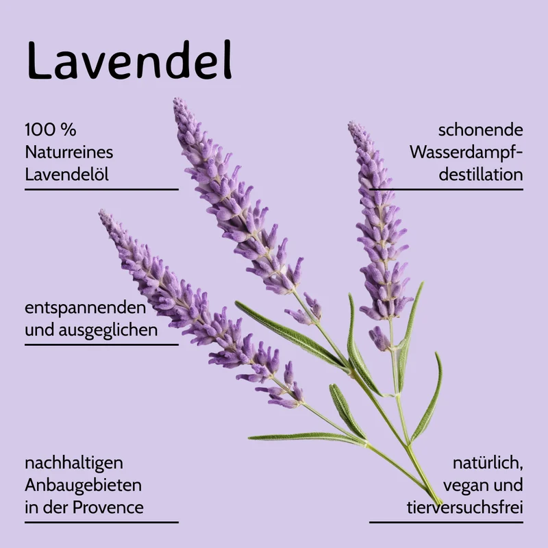 Lavendel Lavendelöl / Lavandula angustifolia 10 ml AROMARA Ätherisches Duftöl