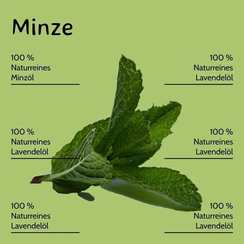 Pfefferminze / Mentha arvensis10 ml AROMARA Ätherisches Duftöl