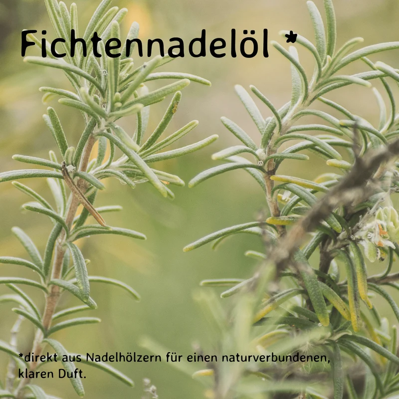 Fichtennadel / Abies Sibirica 10ml AROMARA Ätherisches Duftöl