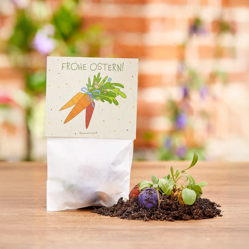10x5 Blumenmurmeln im Tütchen "Möhren" - Frohe Ostern