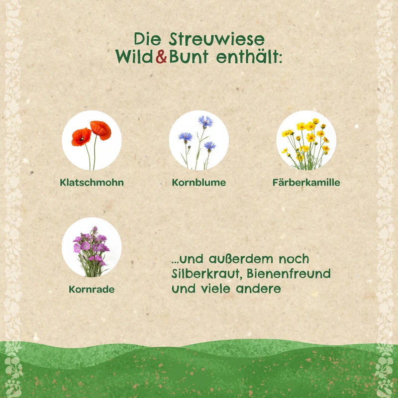 Streuwiese "Wild & Bunt"