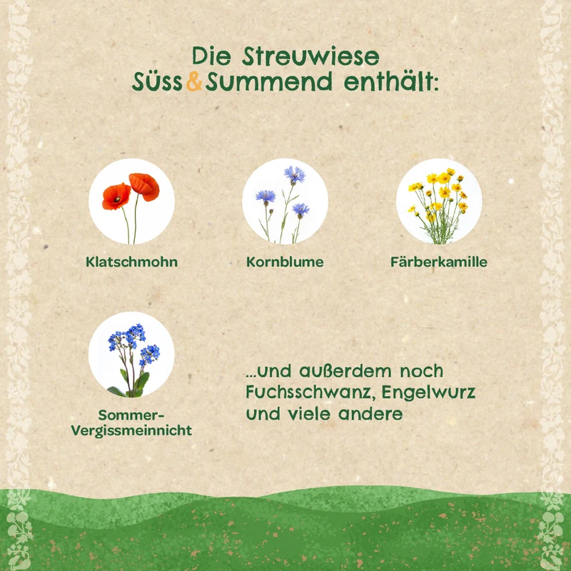 Streuwiese "Süß & Summend"