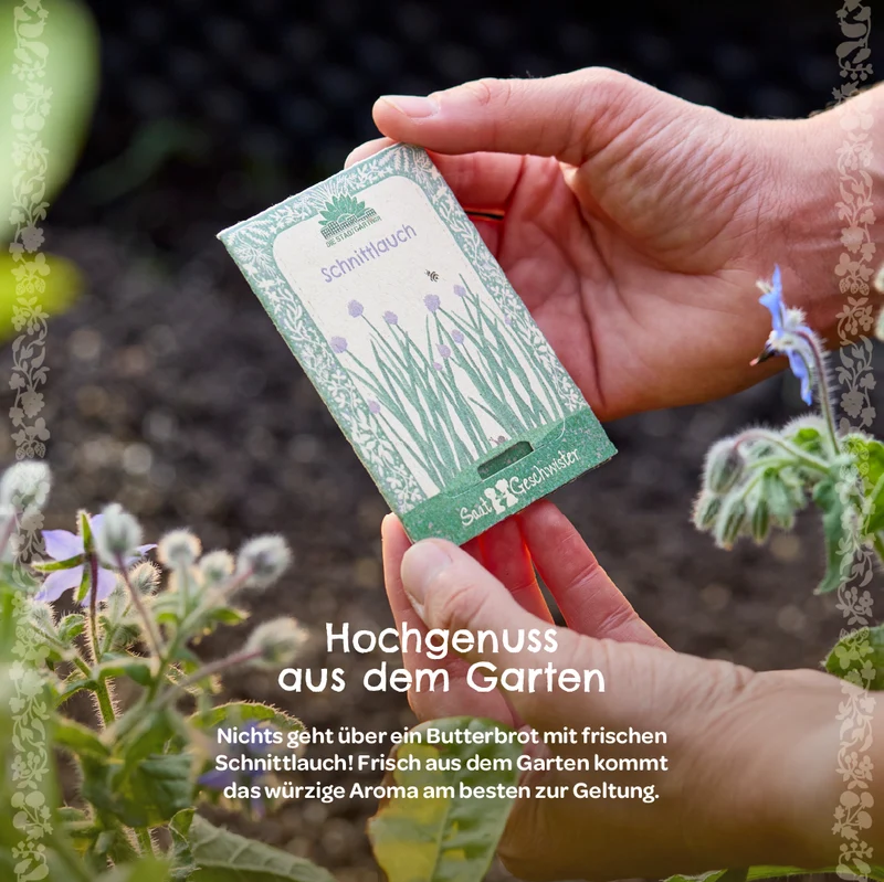 BIO-Saatgut Schnittlauch
