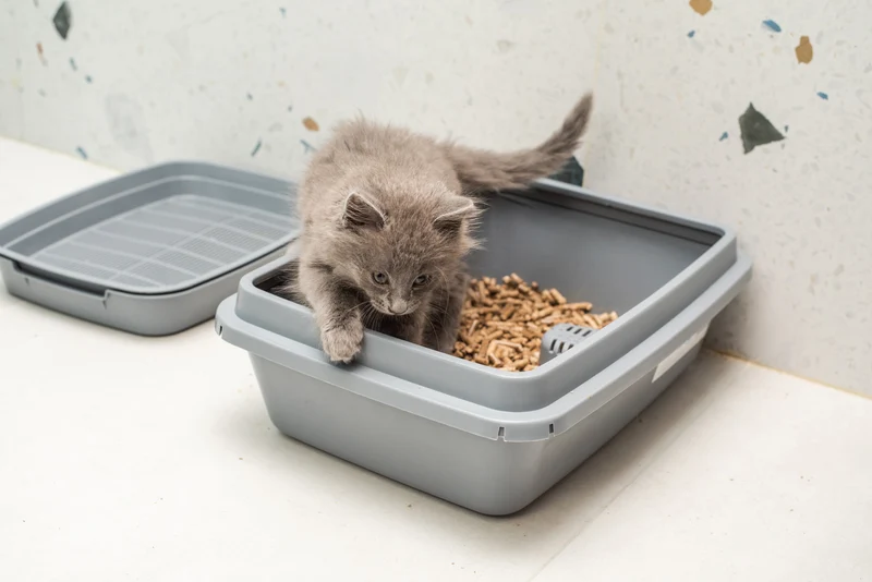 Katzenstreu aus Dinkelspelz-Pellets 7L Einstreu Nager Kleintiereinstreu