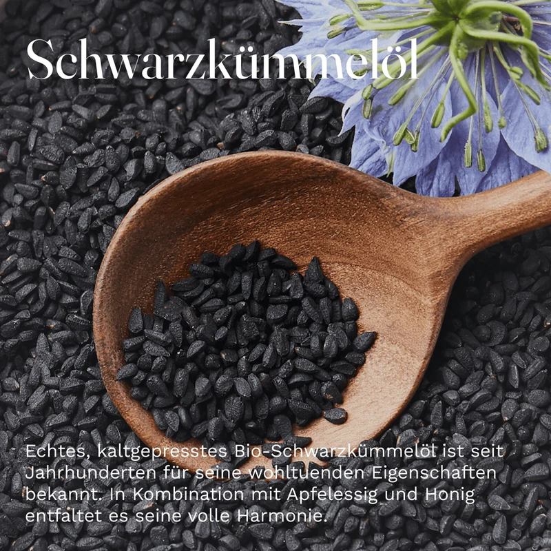 Bio Oxymel Schwarzkümmelöl 250 ml Getränkezusatz mit Honig & Apfelessig Sauerhonig