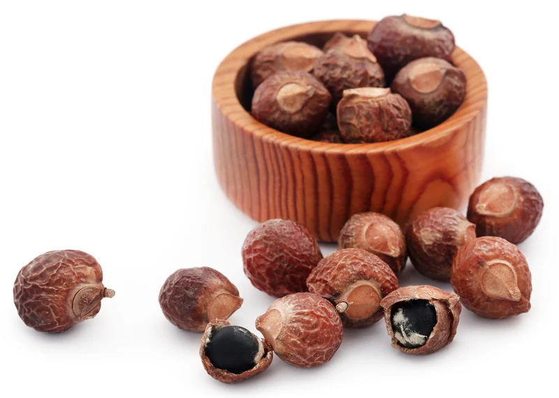 Waschnuss Sapindus Mukorossi Allergiekergeeignet 100% biologisch natürlich Waschmittel 250g