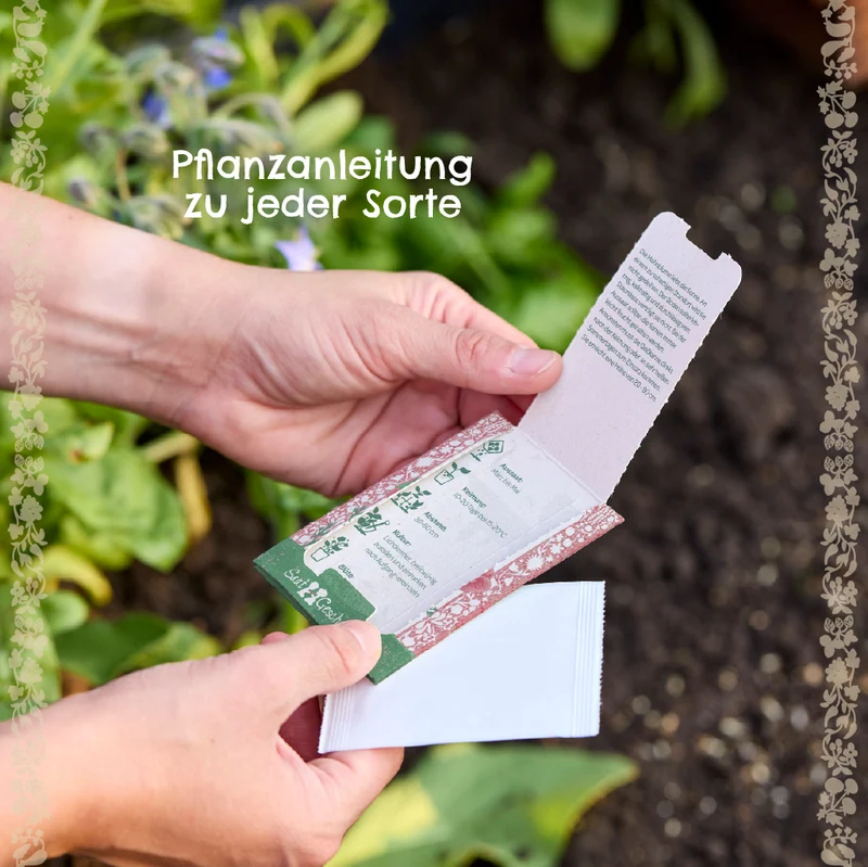 BIO-Saatgut Wildtomate