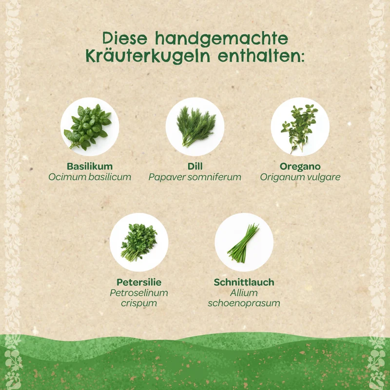 Kräuterkugeln – Saatkugeln mit Kräutern