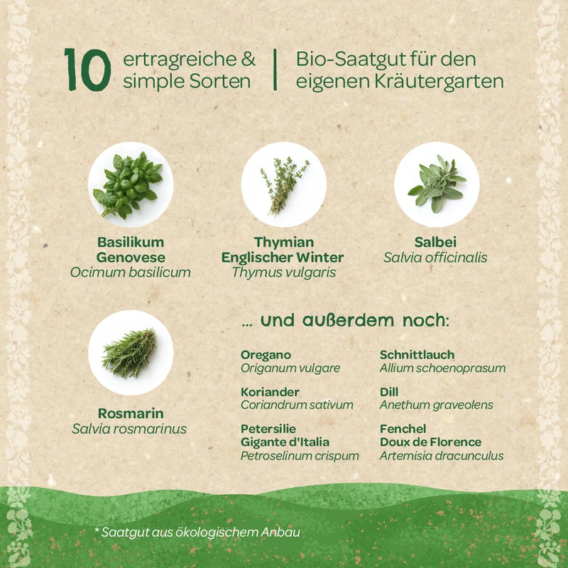 BIO-Saatgut-Set "Küchenkräuter"