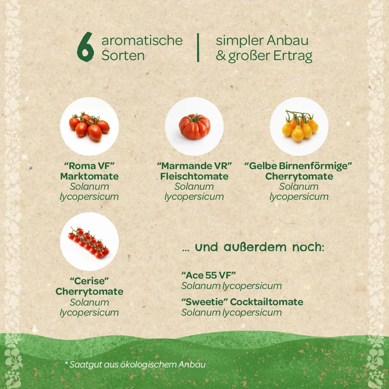 BIO-Saatgut-Set "Tomaten"