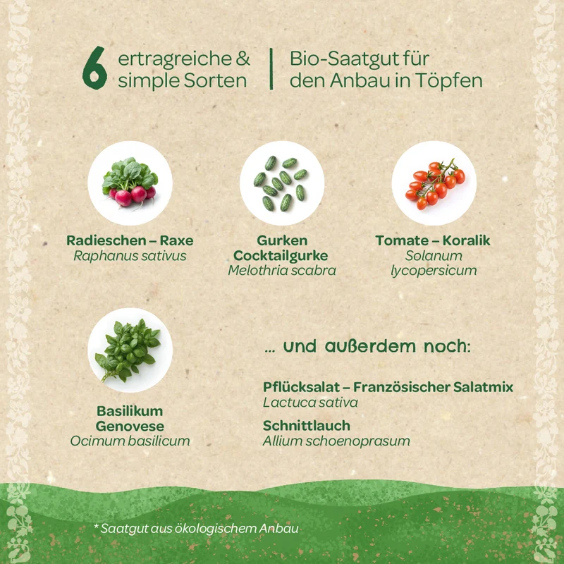 BIO-Saatgut-Set "Balkongemüse"