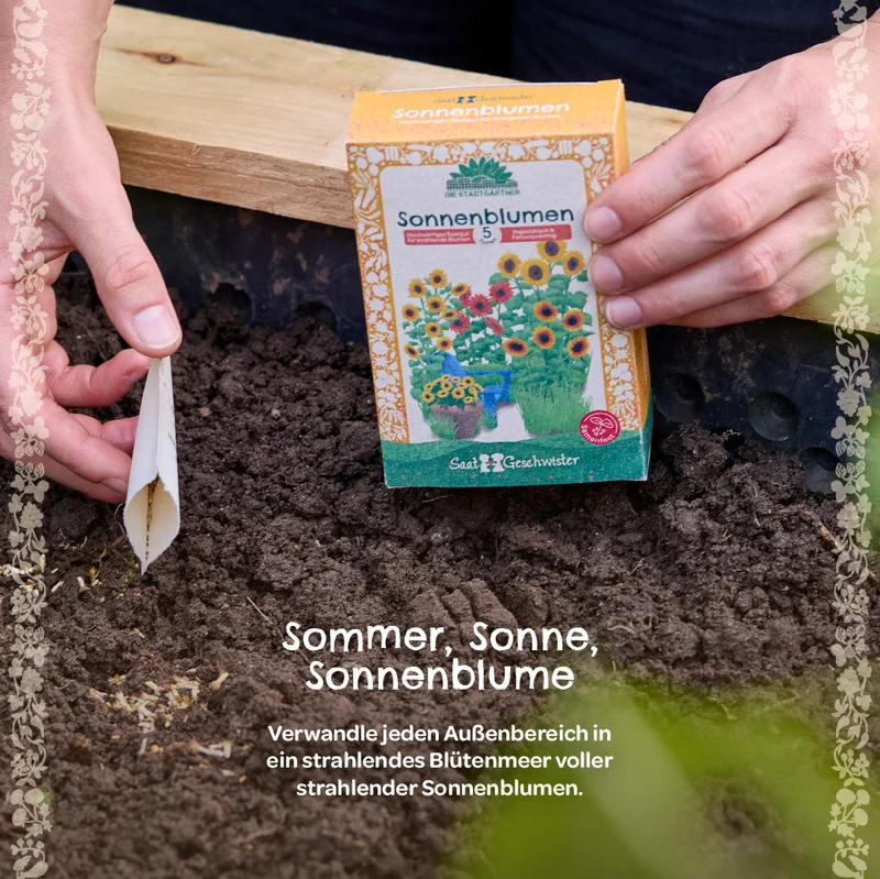 Saatgut-Set "Sonnenblumen"