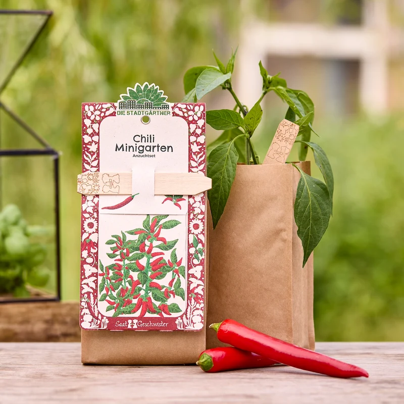 Anzuchtset – Minigarten BIO-Chili