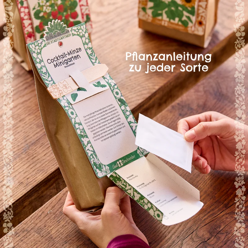 Anzuchtset – Minigarten BIO-Sonnenblume
